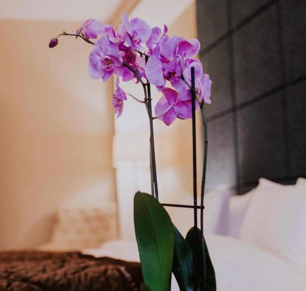 Grand Mirror Hotel Baku Eksteriør billede